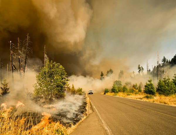 Do you know about these wildfire alert apps?