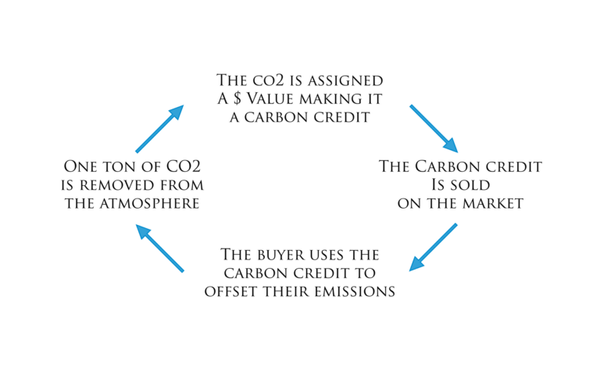 The Basics of Carbon Capture